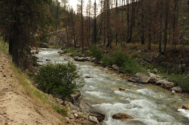 Canyon Creek Rapid