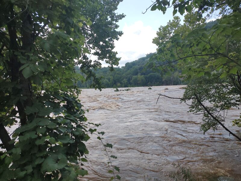 Potomac Needles - White Horse Rapid 12.32 (Point of Rocks)