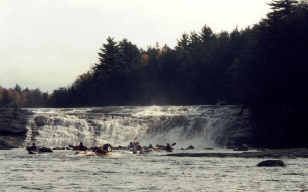 Fowlersville from the Pool