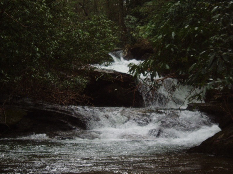 Big Creek - 1st Significant Rapid