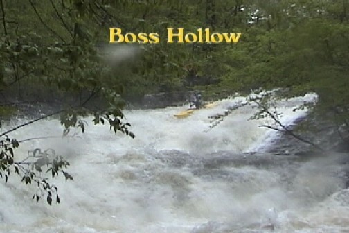 The Boss