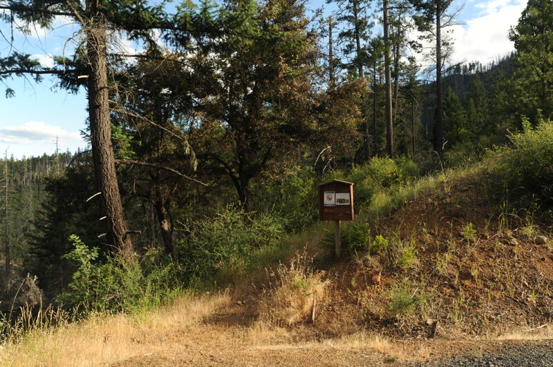 Snailback Access