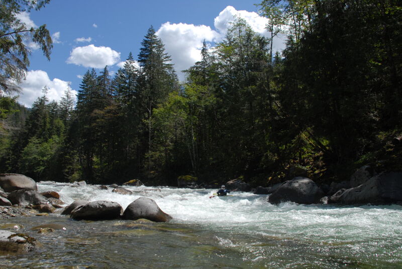 Rapid Above Silver Creek