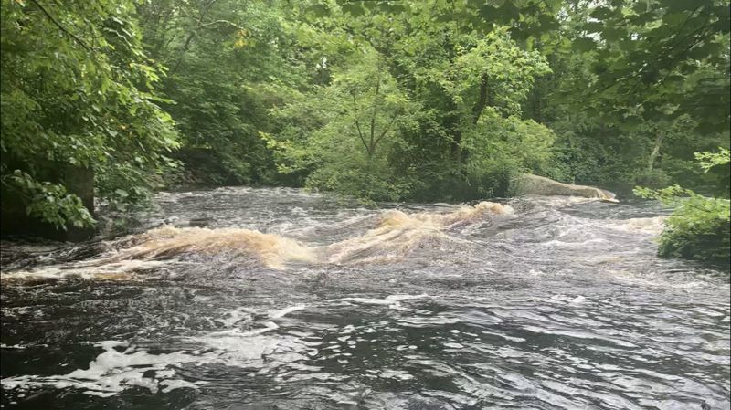 Three Mile River @Cohannet Bridge to Bird Sanctuary