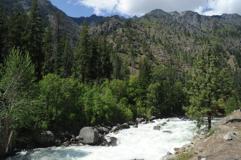 Tumwater Canyon in Spring
