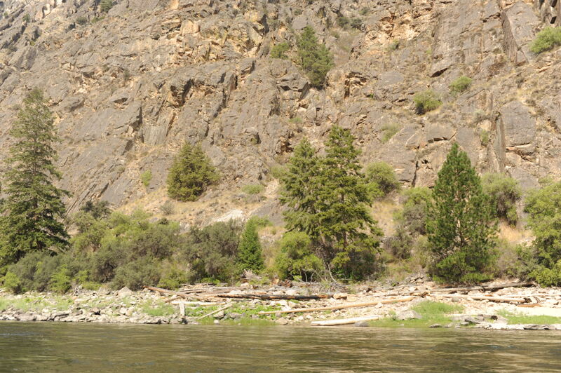 Ouzel Camp (RL)