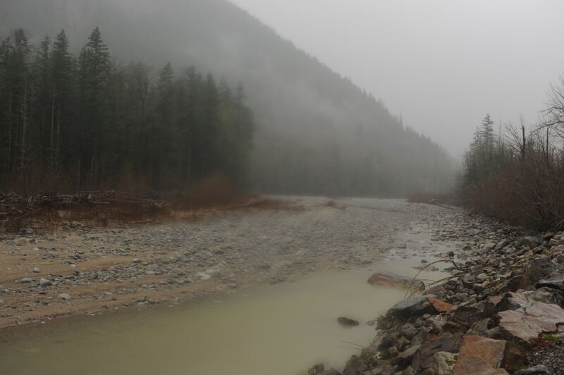 Channel Avulsion Upstream View