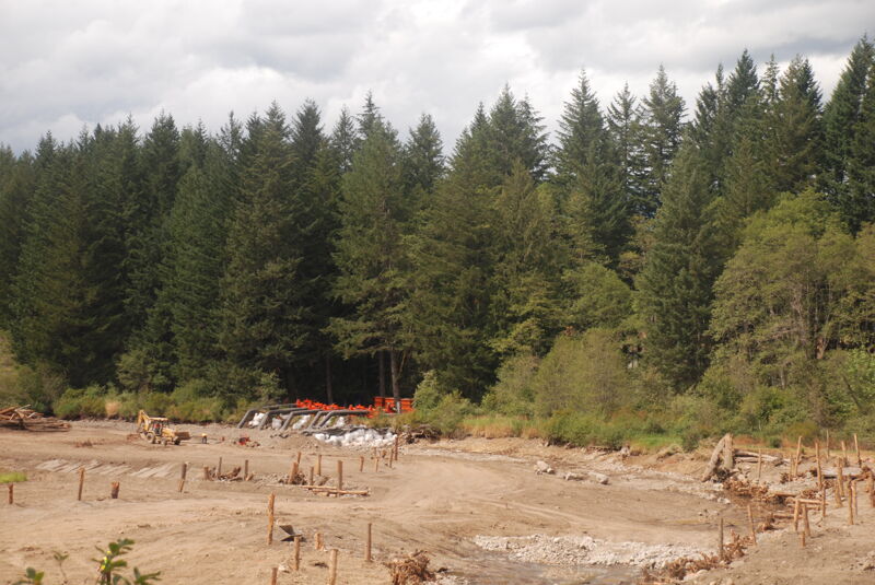 Restoring the Channel in the Former Reservoir