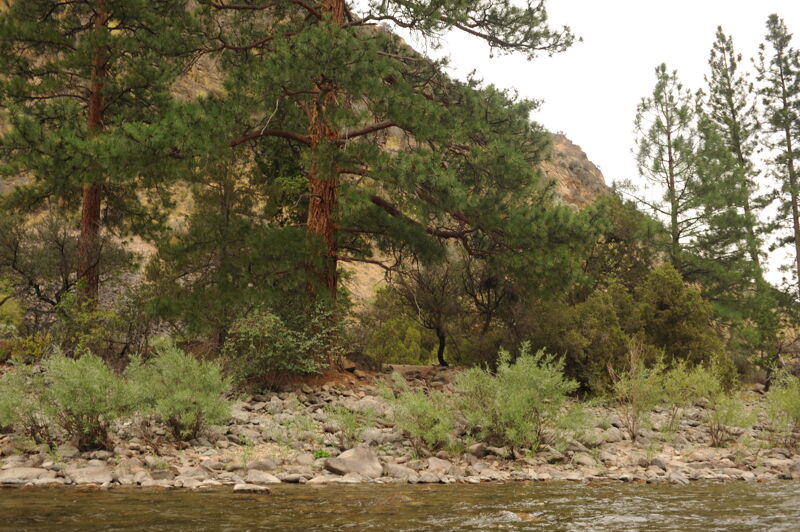 Short Creek Camp (RR)