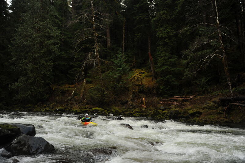 Larry on the Sol Duc