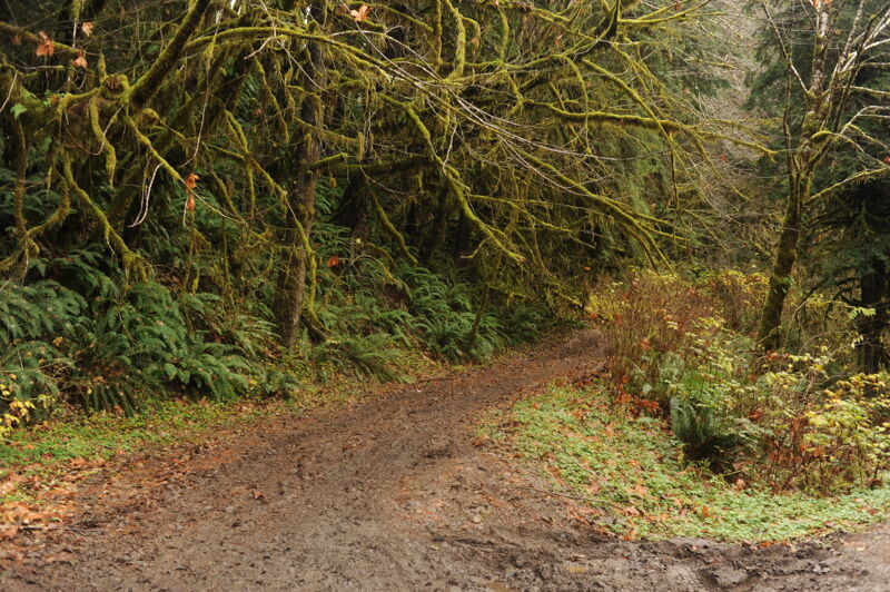 Forest Road 2900-030 Put-In