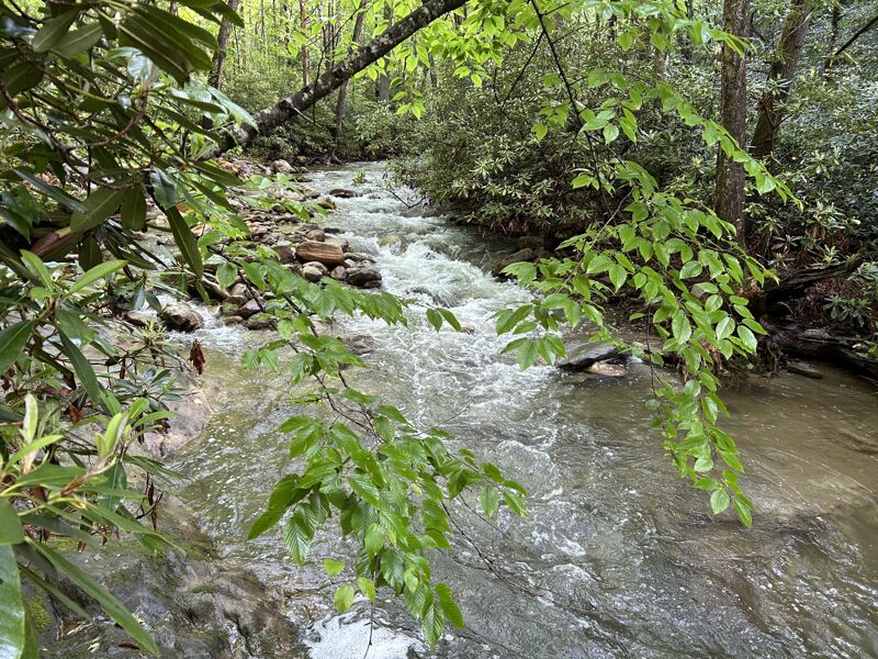 Rapid on Thunderhole Creek