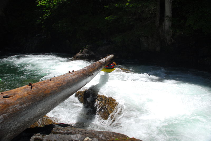 Log Limbo