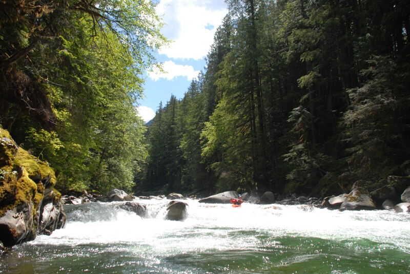 Rapid in the Canyon
