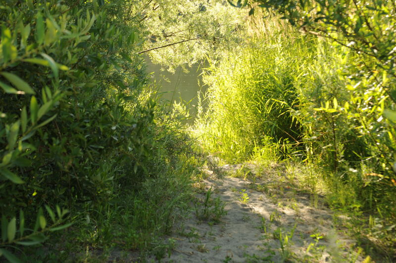 Upper Access at Ullathorne