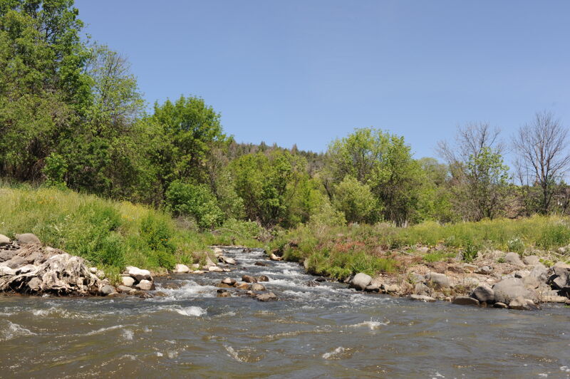Fall Creek Confluence