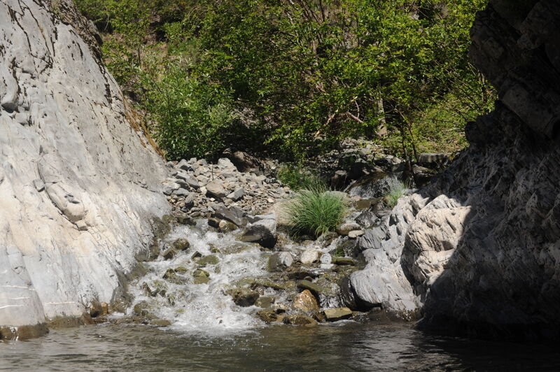 Bunker Creek Confluence