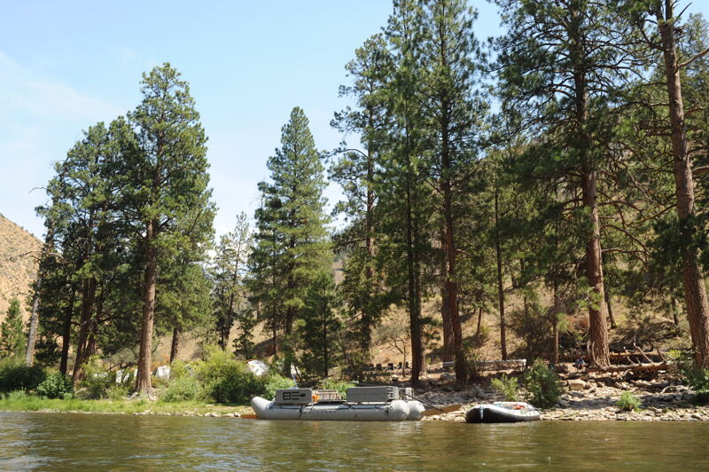 Shelf Camp (RR)