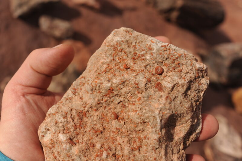 Fossils Near Dead Horse Point