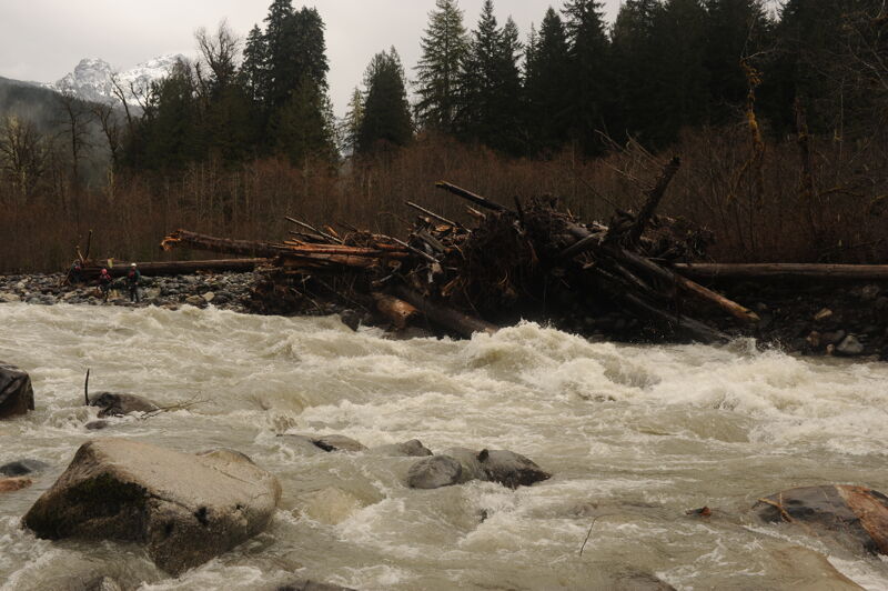 The Wood Hazard at Whirpool