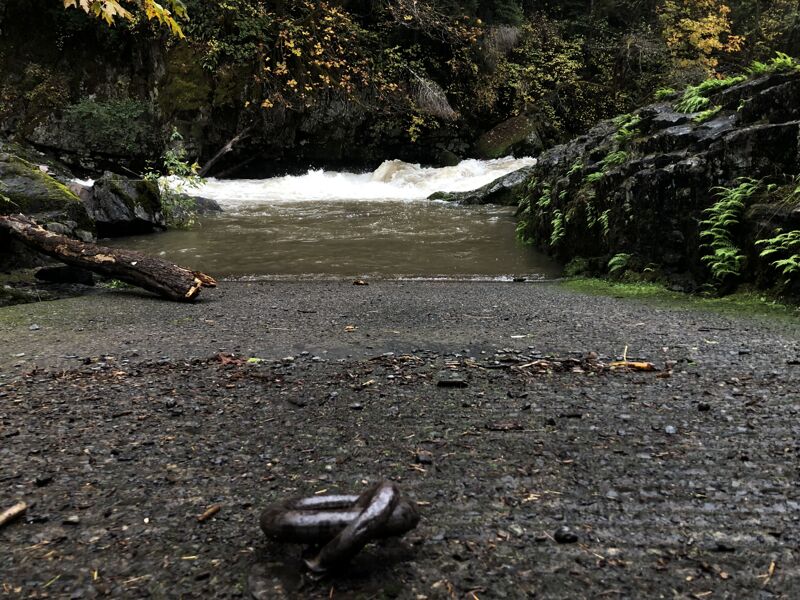View from the Ramp at Fish Ramp Rapid