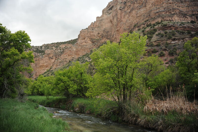Jones Creek