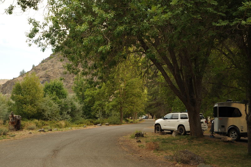Tree of Heaven Campground