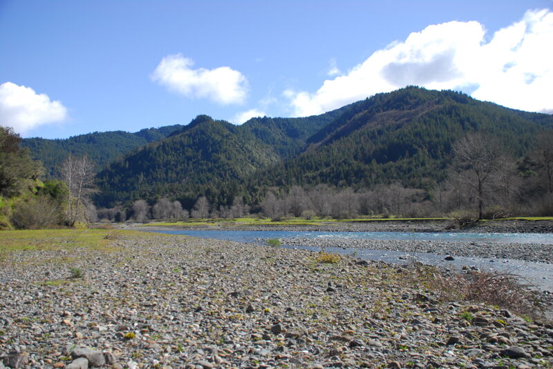 Looking Upstream on Blue Creek