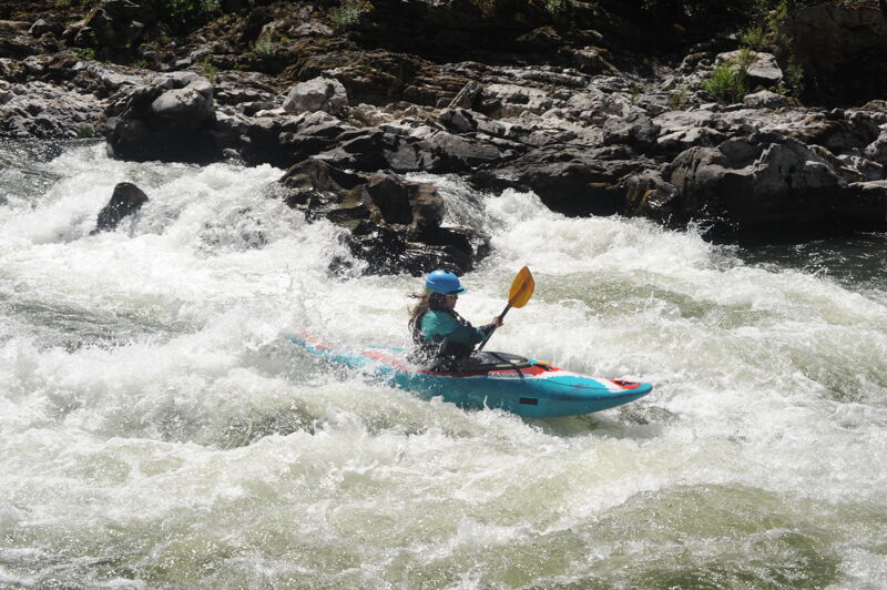 Kestrel Coming Through Windy Creek Chute