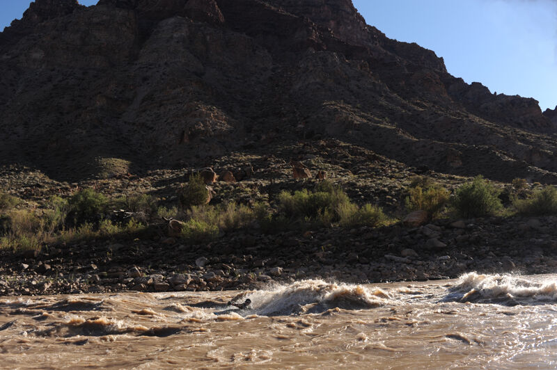 Evan Surfing #10