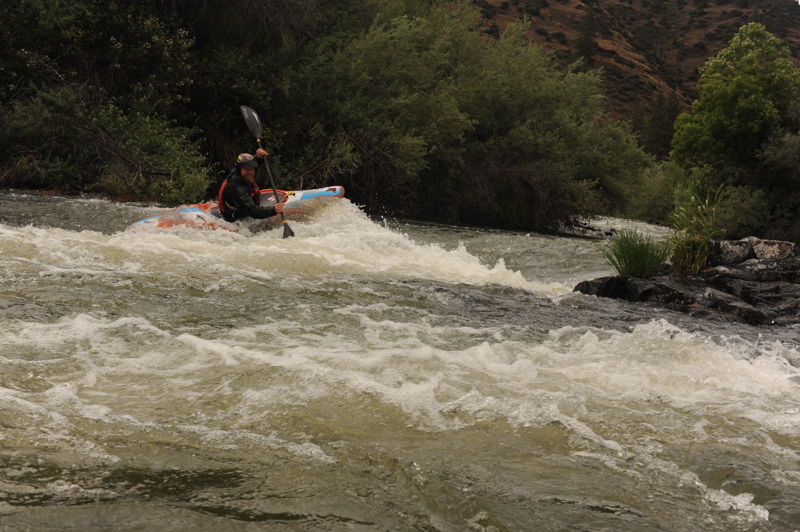 Rapid on Tree of Heaven Run