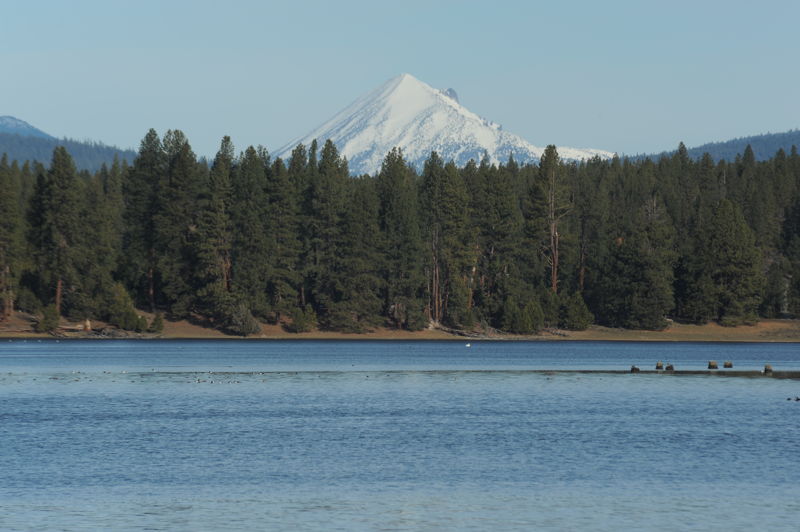 Pioneer Park East View