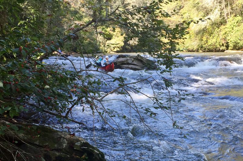 Amicalola Creek @Upper
