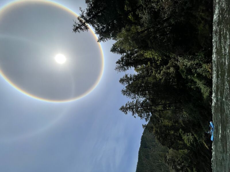 Sun Dog on the Rogue River