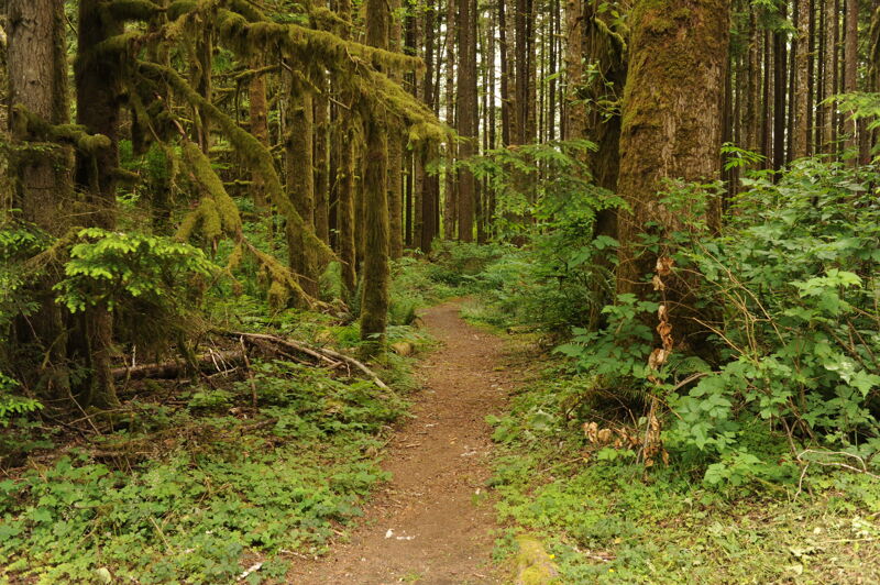 Robe Canyon Historic Park