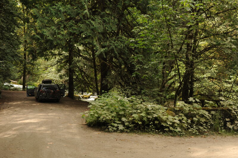 Forest Road 2880 Bridge Put-In