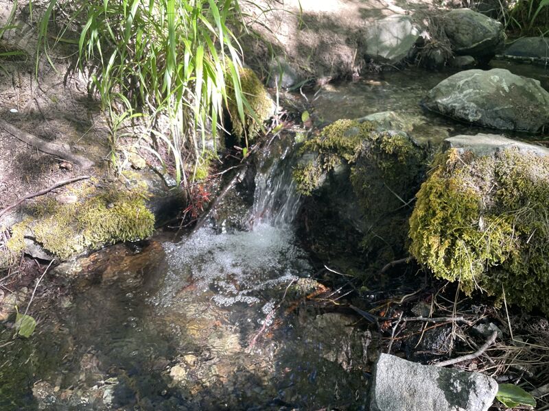 Whiskey Creek