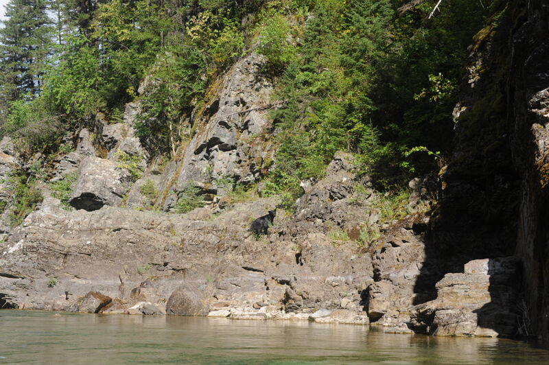Bear in the Great Bear Wilderness