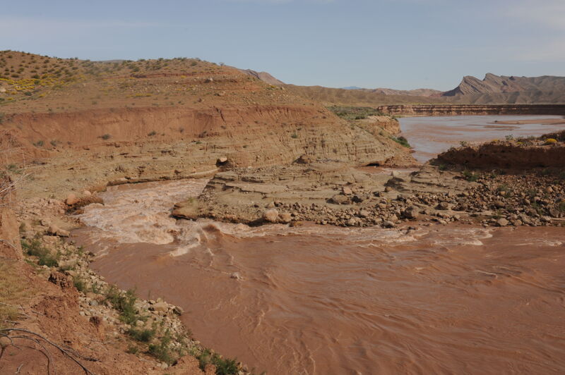 Pearce Ferry Rapid