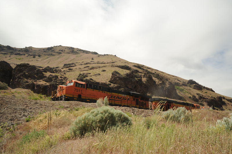Train Near Dixon Camp