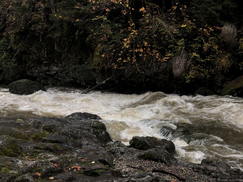 Fish Ramp Rapid