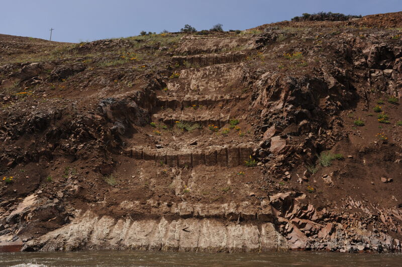 The Roots of Iron Gate Dam