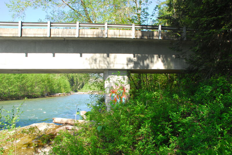 Suiattle River Boundary Bridge Access Assessment