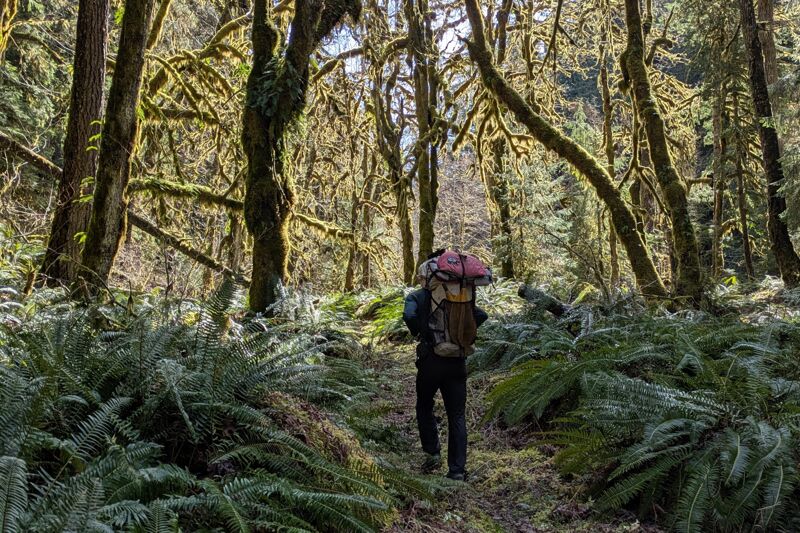 Upper hike