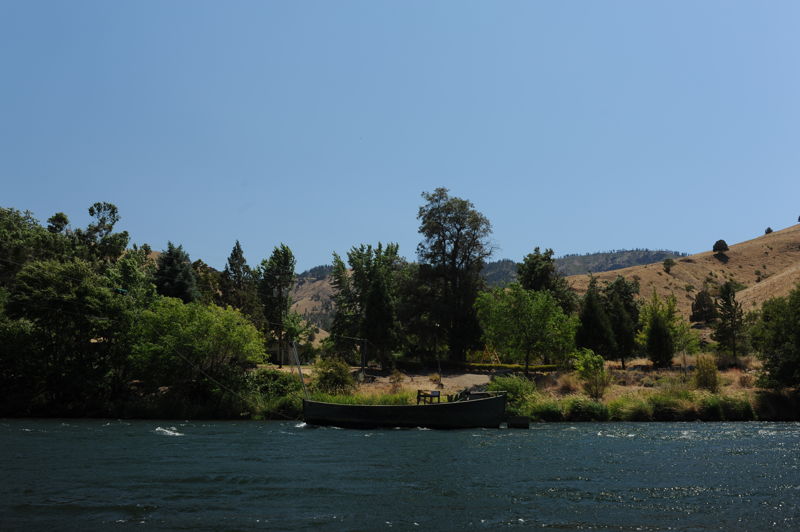 Dant Ferry
