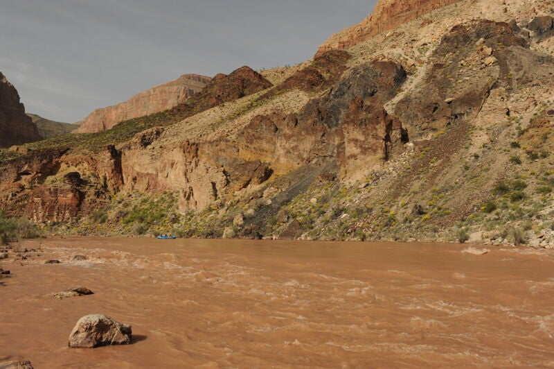 Whitmore Rapid (3)