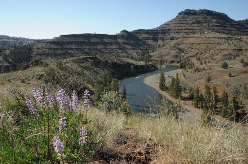 Camp 3 at Neal Butte