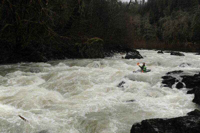 Patrick in Wiley Creek Rapid