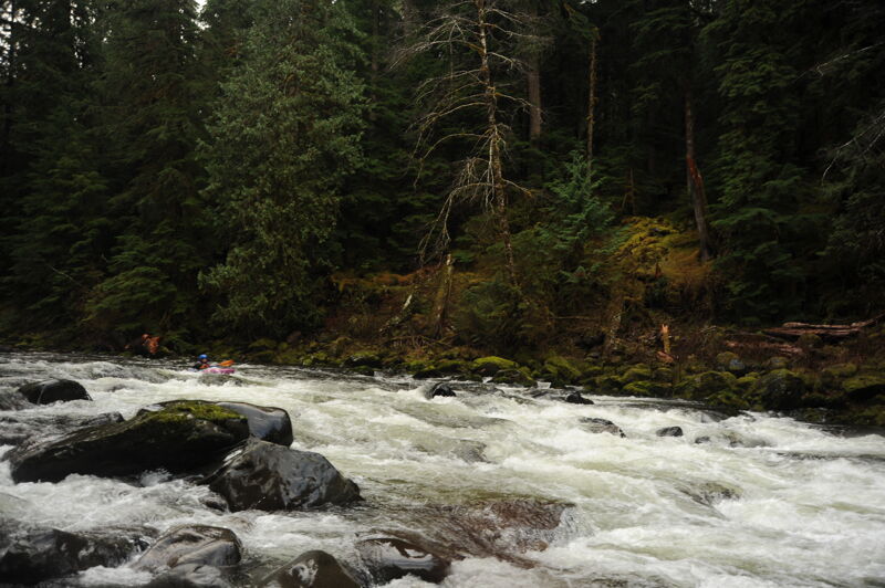 Cyn on the Sol Duc