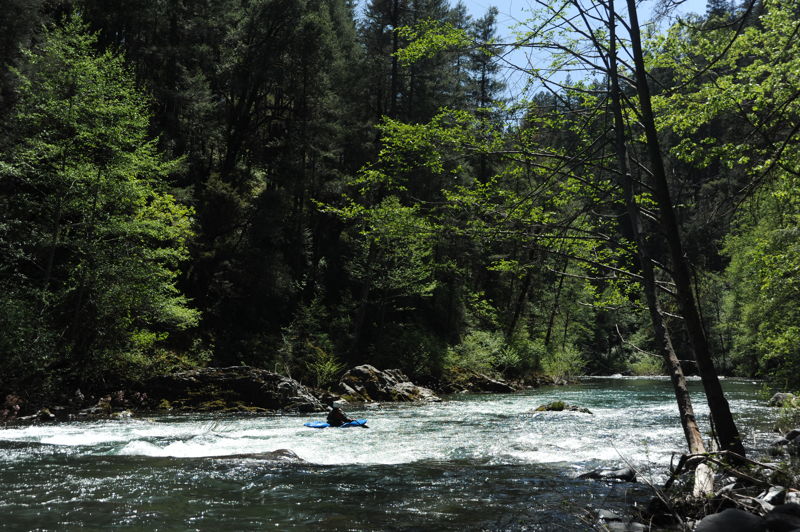 McCloud River whitewater